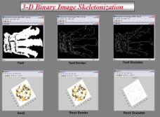 3D Image Skeleton