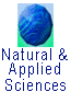 naslogo.gif (2823 bytes)