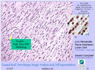 Image Analysis & Cell Segmentation